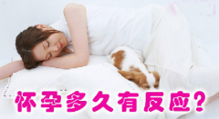 怀孕多久有反应