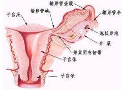 呼和浩特治疗附件炎医院