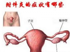 附件炎的症状有哪些