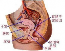 治疗尿道炎的医院