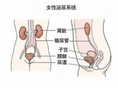 尿道炎检查和治疗