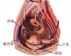 盆腔炎的危害有哪些
