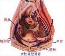 盆腔炎的症状有哪些