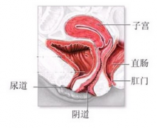 阴道炎治疗的最佳时间