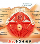 石女手术后可以过性生活吗