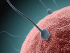 精液不液化还能够受孕吗