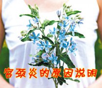 引发宫颈炎的原因有哪些